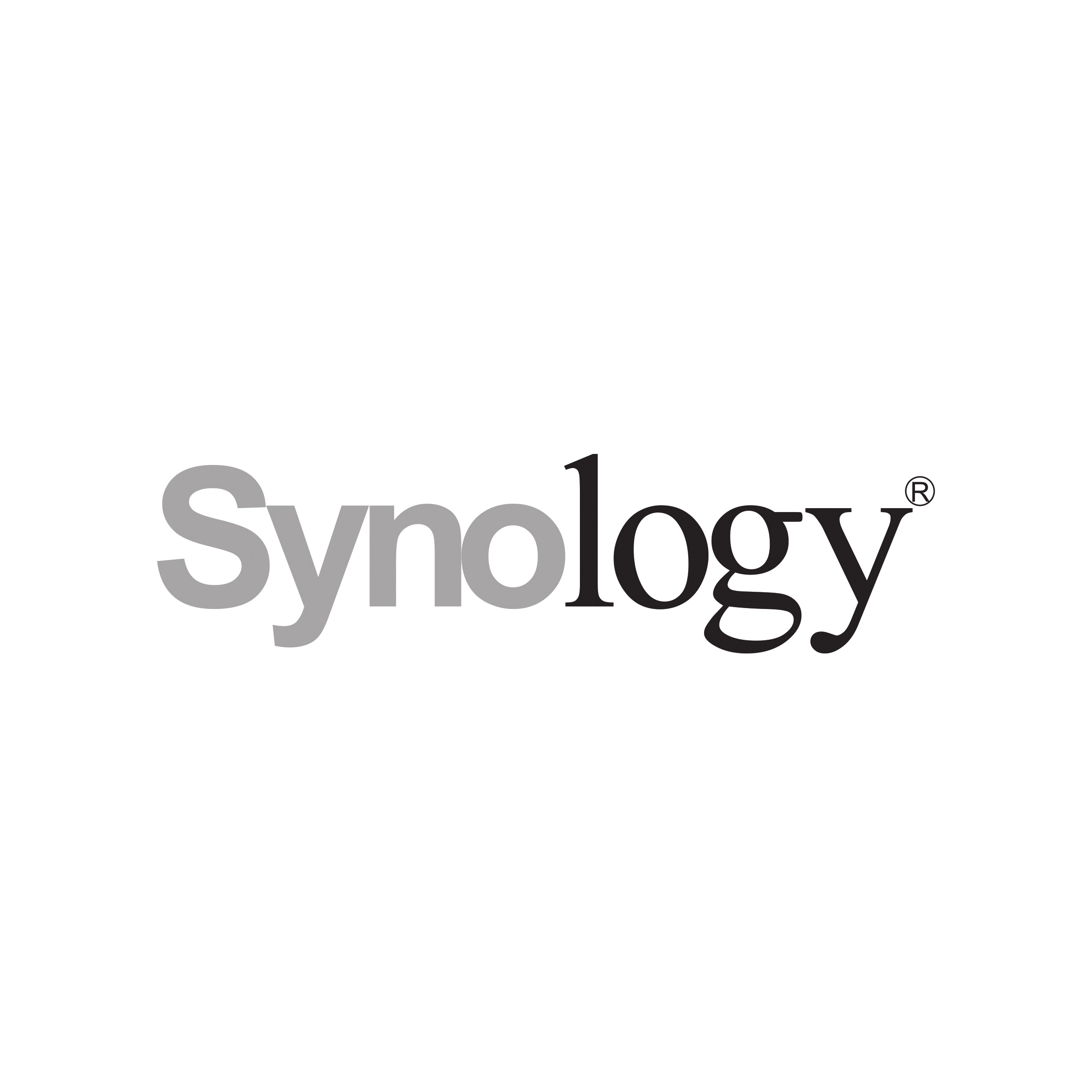 synology Logo